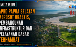 APBD Papua Selatan Merosot Drastis, Pembangunan Infrastruktur dan Pelayanan Dasar Terhambat