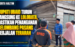 Bupati Ubaid Turun Langsung ke Lolobata, Pastikan Penanganan Gelombang Pasang Berjalan Terarah