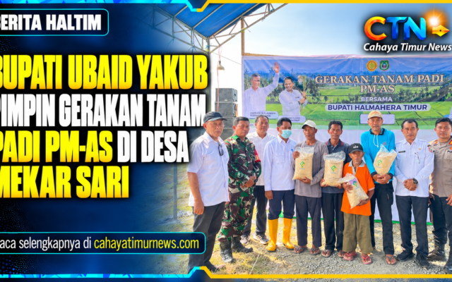 Bupati Ubaid Yakub Pimpin Gerakan Tanam Padi PM-AS di Desa Mekar Sari